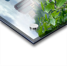 Around Colombo Sri Lanka Acrylic print