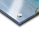 Last Monkey Standing Acrylic print