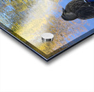 Duck like a Painting Acrylic print