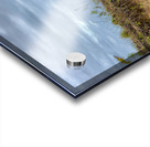 Dog in the Field Impression Acrylique