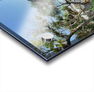 Freedom Cafe Shack Acrylic print