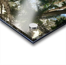 Look Up at the Trees Acrylic print