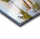 Mini Island Acrylic print