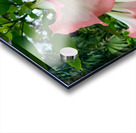 Pink Bell Flowers Acrylic print