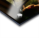 Safari Time Acrylic print