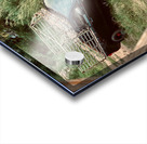 Ukulele Time Acrylic print