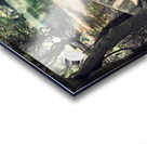 Abandoned Boat Acrylic print