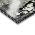 BW Didn t See it Didn t Hear it Monkeys Acrylic print