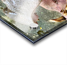 Hippos Teeth Acrylic print