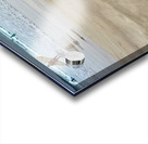 Puppy Walking on the Beach Acrylic print