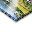 Village in the Rice Fields 2 Acrylic print