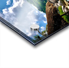 View on Chalok Bay Koh Tao Acrylic print