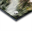 Buddha Under the Tree Acrylic print