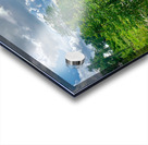 Riding by the Rice Fields Acrylic print