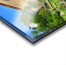 Imperial City Hue Vietnam 5 Acrylic print