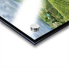 Tea Plantation Hills Acrylic print