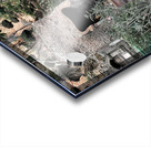 Yin Yang Entrance Acrylic print