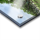 Tree in Line Acrylic print