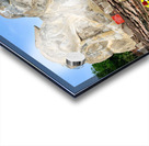 Ayutthaya Historical Park Temples 4 Acrylic print