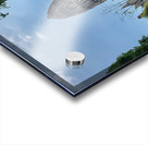 Ayutthaya Historical Park Temples 10 Acrylic print