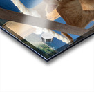 Kitties with a View Impression Acrylique