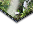 Kawasan Falls Philippines 1 Acrylic print