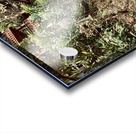 Mae Kampong Village Thailand 1 Acrylic print