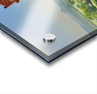 Agra Fort 13 Acrylic print