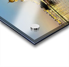 Golden Temple Amritsar 13 Acrylic print