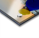 Golden Temple Amritsar 7 Acrylic print