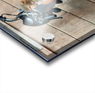 Snack Rider Acrylic print