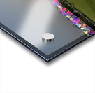 Prem Mandir Vrindavan 5 Acrylic print