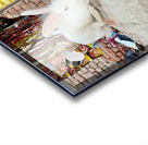 Rabit Magic Acrylic print