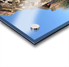 Man Looking Outside of Old Temple Acrylic print