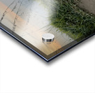 Ella Mountain Dog Acrylic print