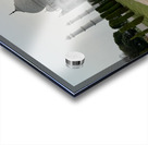 The Taj Mahal Collection 16 Acrylic print