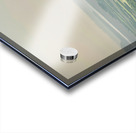 The Taj Mahal Collection 5 Acrylic print