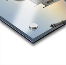 The Taj Mahal Collection 19 Acrylic print