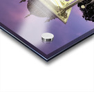 Mysore City Hall Statue Acrylic print