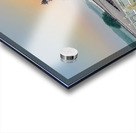 The Taj Mahal Collection 22 Acrylic print