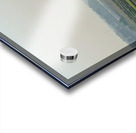 The Taj Mahal Collection 6 Acrylic print