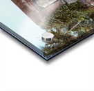 The Sofa Acrylic print