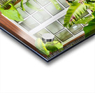 Maboul Island 19 Acrylic print