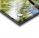 Bird Couple Koh Tao Thailand Acrylic print