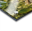 From the Balcony in Miri 2 Acrylic print