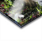 Face in the Ground Munduk Bali Acrylic print