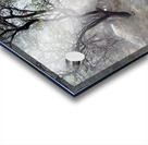 Cibuni Rengganis Crater Java Indonesia 6 Acrylic print