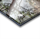 Cibuni Rengganis Crater Java Indonesia 7 Acrylic print