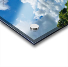 Kabili Sepilok Forest Reserve 1 Acrylic print