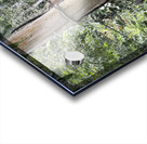 Kabili Sepilok Forest Reserve Orangutans 2 Acrylic print